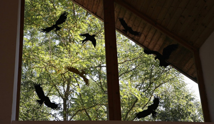 Volyňská hřbitovní galerie Na shledanou vyrábět a prodávat ochranné fólie se siluetami dravců.