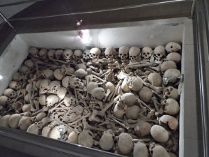 Budějovický spolek Jednadevadesátníci, který mapuje osudy Jihočechů za první světové války, se v polovině července vypravil do východních Karpat na pomezí Slovenska, Polska a Ukrajiny. Právě zde v zimě a na jaře 1915 bojoval budějovický 91. pěší pluk.