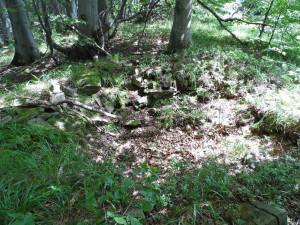 Budějovický spolek Jednadevadesátníci, který mapuje osudy Jihočechů za první světové války, se v polovině července vypravil do východních Karpat na pomezí Slovenska, Polska a Ukrajiny. Právě zde v zimě a na jaře 1915 bojoval budějovický 91. pěší pluk.