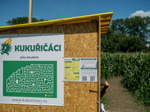 Start a plán bludiště