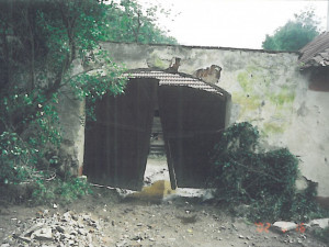 Mlýn po ničivé povodni.