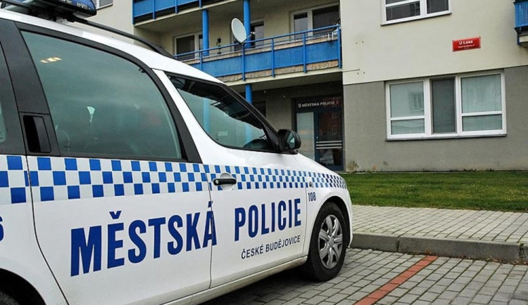 Muž se po ulici procházel s plynovou pistolí. Strážníci ho ihned zajistili