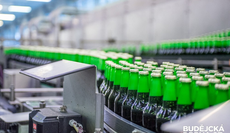 Budějovický Budvar.