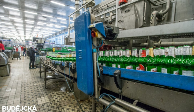 Budějovický Budvar.