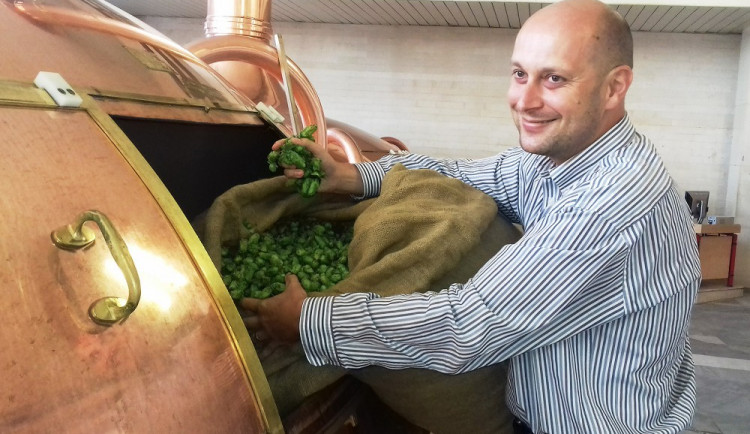 Sezonní pivní specialitu z čerstvého chmele uvařili v pondělí 28. srpna odpoledne v Budějovickém Budvaru.