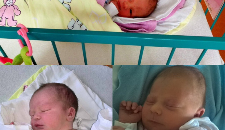 Drbnátka měsíce června