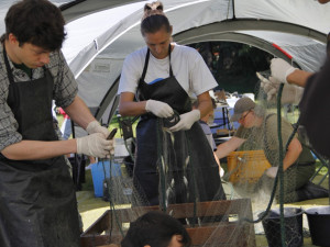 Hydrobiologové provedli rozsáhlý průzkum lipenské nádrže, který má mimo jiné zmapovat stav populace candátů.