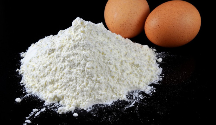 Veterináři šetří zásilku výrobků z vajec, možná obsahují fipronil
