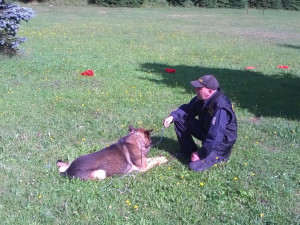 Prachatický policejní psovod Jaroslav Čejka a jeho německý ovčák Chasan se umístili na krásné druhé příčce a stali se tak vicemistrem ve vyhledávání drog. 