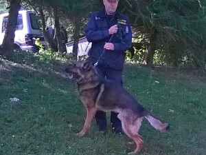 Prachatický policejní psovod Jaroslav Čejka a jeho německý ovčák Chasan se umístili na krásné druhé příčce a stali se tak vicemistrem ve vyhledávání drog. 