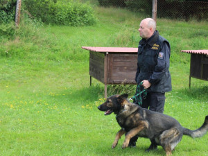 Prachatický policejní psovod Jaroslav Čejka a jeho německý ovčák Chasan se umístili na krásné druhé příčce a stali se tak vicemistrem ve vyhledávání drog. 