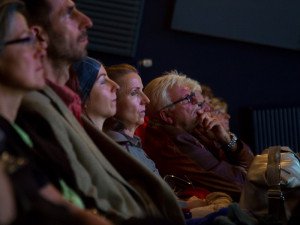 Diváci na festivalu