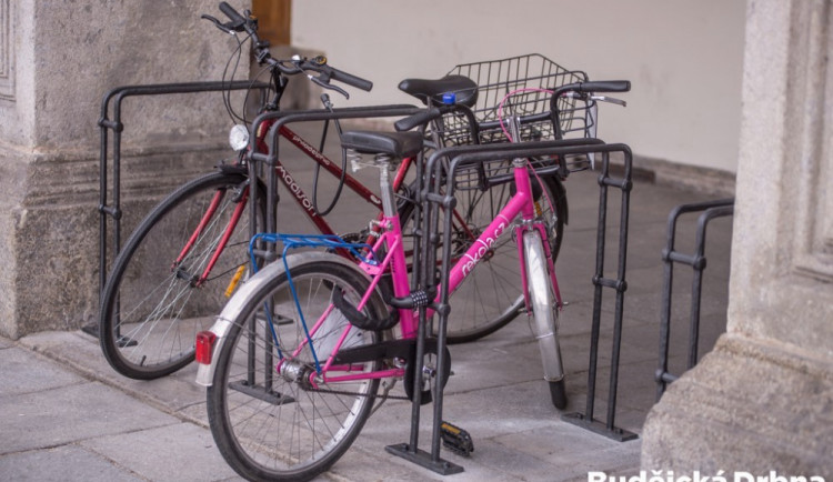 Kolostavy před českobudějovickou radnicí prošly obměnou letos na jaře.