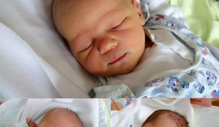 Drbňátka měsíce července.