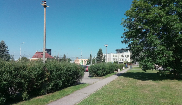 Prostor před hřbitovem Otýlie v Českých Budějovicích má nové veřejné osvětlení.