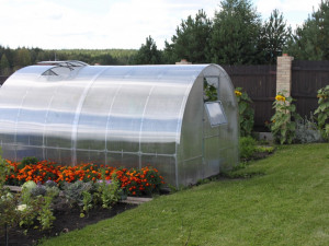 AGRus obloukový skleník.