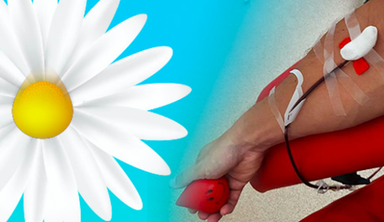 Proč jsem šel darovat plazmu? Chtěl jsem pomoci zachránit život