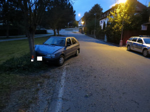 Opilý muž z Lipenska naboural ve Větřní do stromu.