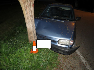 Opilý muž z Lipenska naboural ve Větřní do stromu.