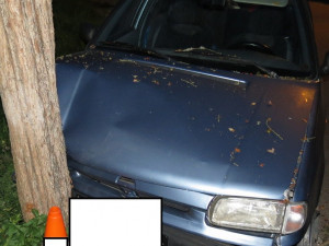 Opilý muž z Lipenska naboural ve Větřní do stromu.