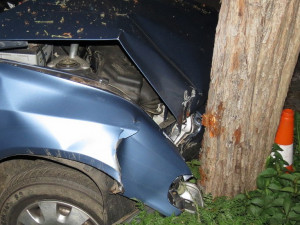 Opilý muž z Lipenska naboural ve Větřní do stromu.