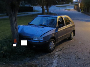 Opilý muž z Lipenska naboural ve Větřní do stromu.