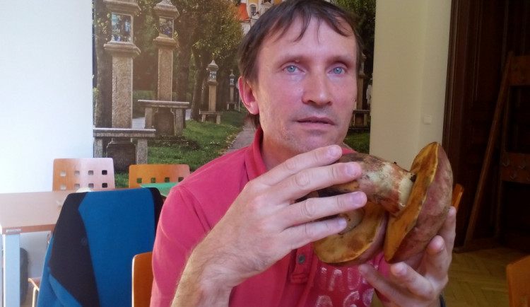 Mykolog Jihočeského muzea Miroslav Beran.