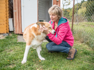 Roxynka, která v pátek odjela do nového domova.