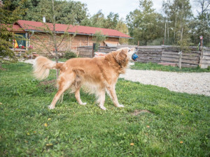 Věčně veselý Albert.