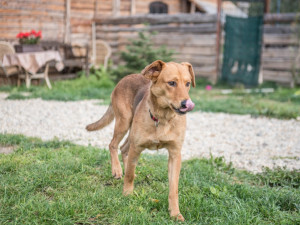 Bráška by si taky dal nějakou ňaminku.