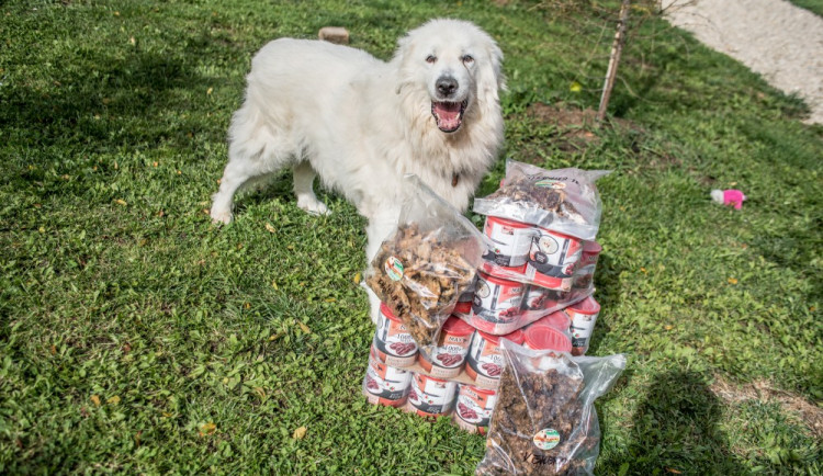 Beneček s dárečky, které jsme za pana Gaiera předali.