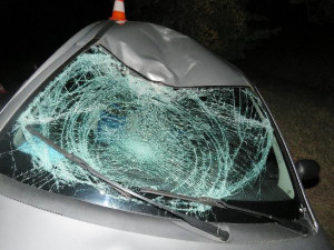 K tragické nehodě došlo ve čtvrtek 12. října kolem osmé hodiny večer na silnici u Dunajovic na Jindřichohradecku. Při střetu s osobním autem tam zemřel cyklista.