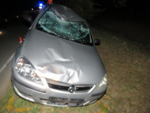 K tragické nehodě došlo ve čtvrtek 12. října kolem osmé hodiny večer na silnici u Dunajovic na Jindřichohradecku. Při střetu s osobním autem tam zemřel cyklista.