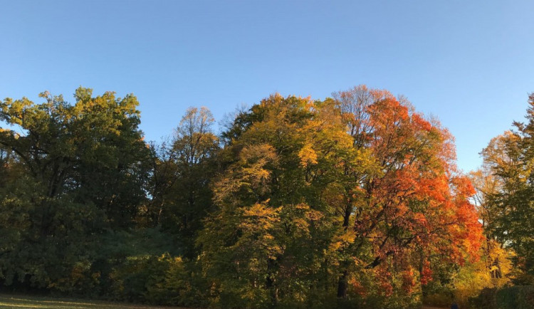 Ilustrační fotografie