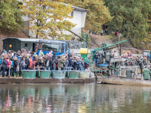 Slavnostní výlov Rožmberku je za námi. Akce přílákala masy lidí