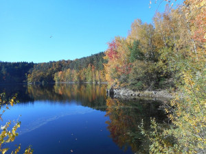O víkendu padaly teplotní rekordy, sluníčka si ještě pár dní užijeme