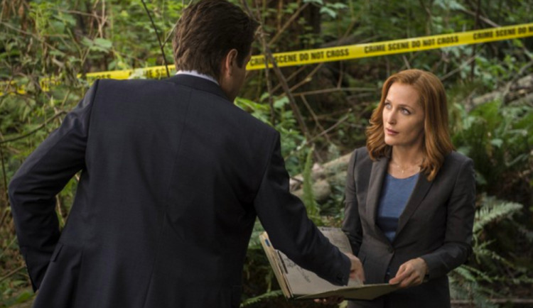 Ilustrační fotografie