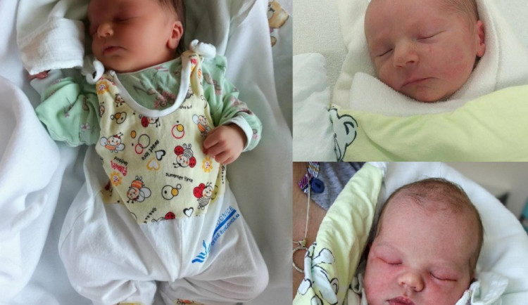 Koláž srpnových miminek.