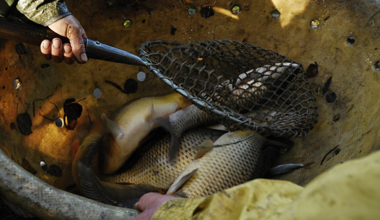 Ilustrační fotografie