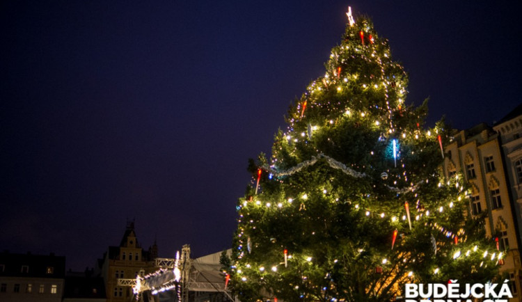 Vánoční strom pro Budějce se jmenuje Gigaska a je jí třicet sedm let