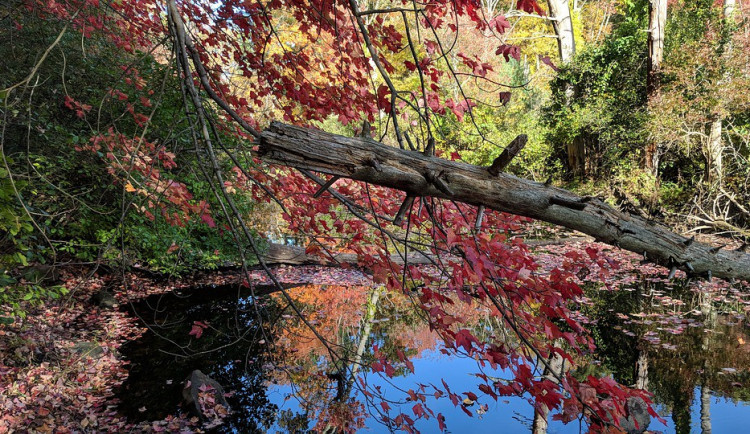 Ilustrační fotografie