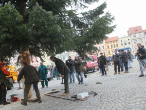 Usazování vánočního stromu na buděcké náměstí, sobota 18. listopadu dopoledne.