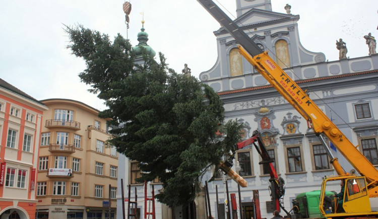Usazování vánočního stromu na budějcké náměstí, sobota 18. listopadu dopoledne.