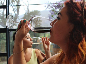 Vědecky potvrzeno: Víno miluje stále více žen