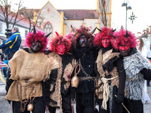 Mikuláš letos opět navštíví Zoo Hluboká
