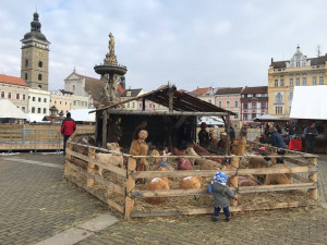 Českobudějovický advent přináší nabitý program.