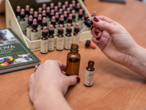 Bachovy květové esence