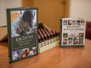 Bachovy květové esence