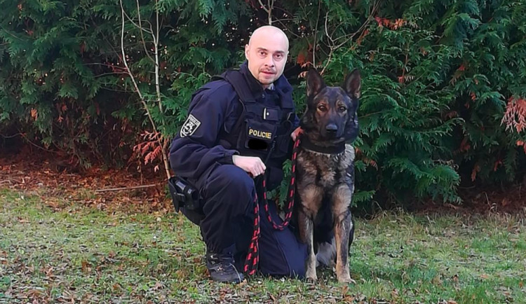 Pohřešovaného muže pomohl vypátrat policejní pes Marco