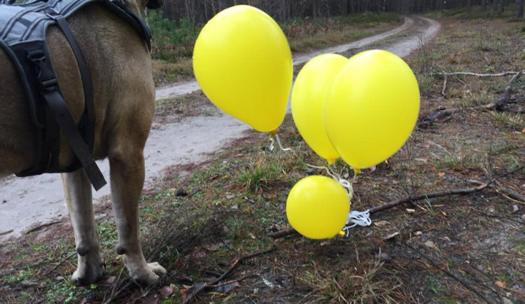 Balónky s přáním, které našli v Polsku